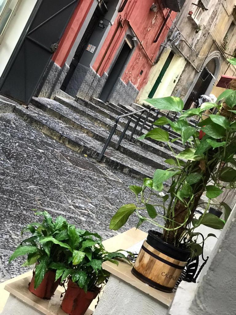 נאפולי Casa Mari' Centro Storico Vicino Hotel Caracciolo מראה חיצוני תמונה